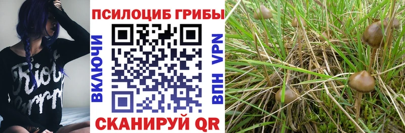 блэк спрут tor Слободской Псилоцибиновые грибы мухоморы