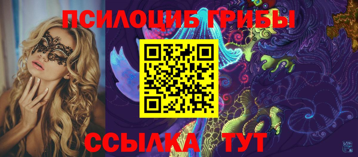 Псилоцибиновые грибы Psilocybine cubensis Слободской