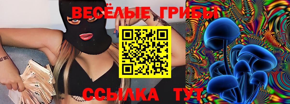 Слободской  Псилоцибиновые грибы мицелий  Вход с VPN 
